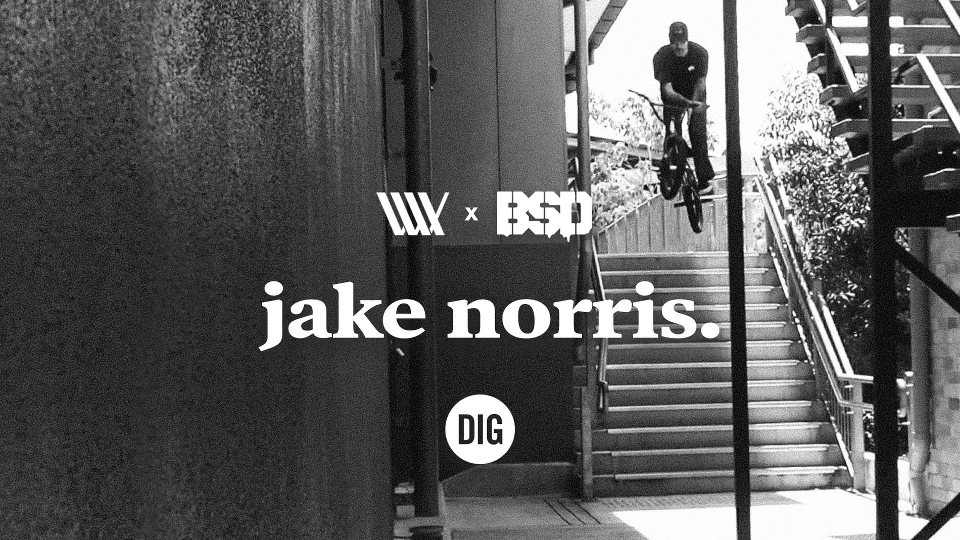 LUX x BSD - Jake Norris