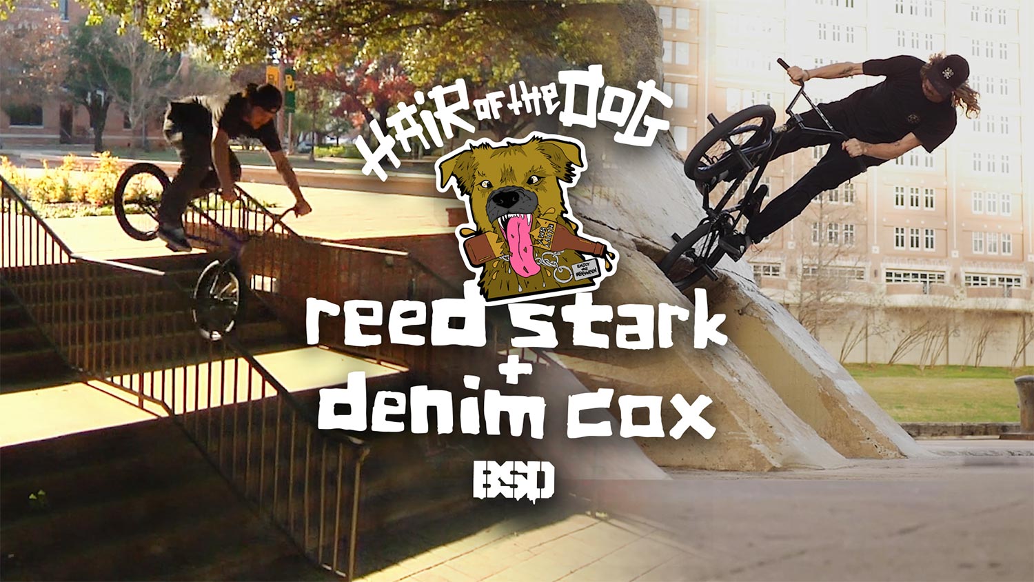 REED STARK & DENIM COX HAIR OF THE DOG VIDEO PART
