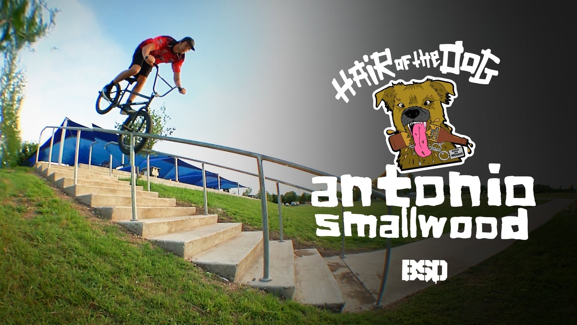 ANTONIO SMALLWOOD HAIR OF THE DOG VIDEO PART
