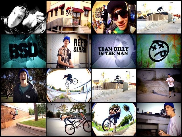 Team Dilly - Reed Stark Left Overs