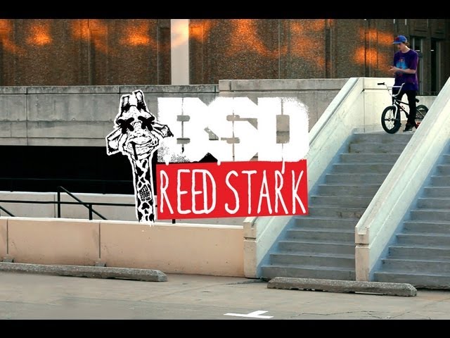 Reed Stark Giraffic Bar promo