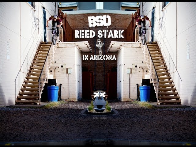 Reed Stark in Arizona