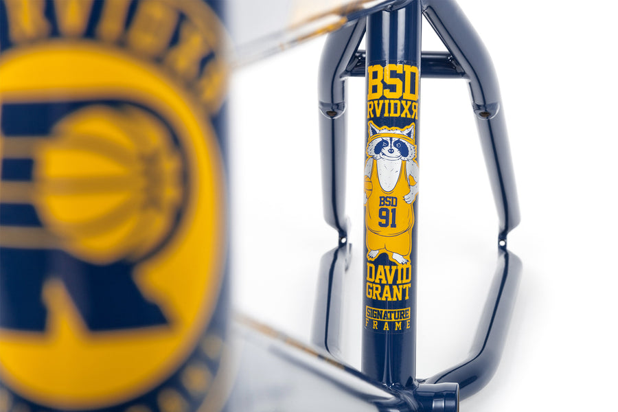2018 RAIDER FRAME