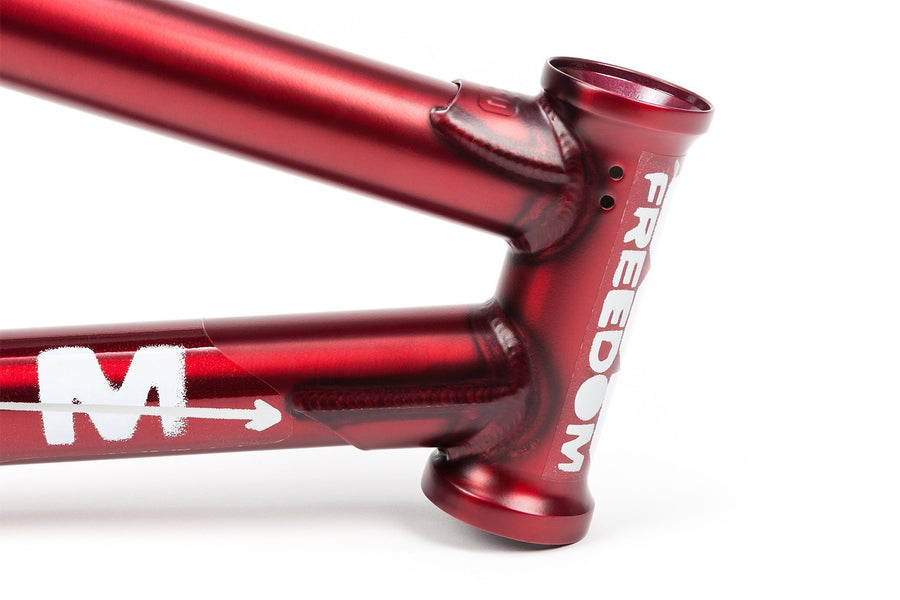 2019 FREEDOM FRAME