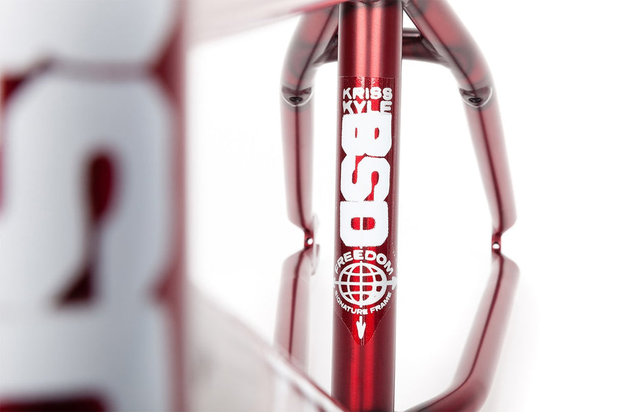 2019 FREEDOM FRAME