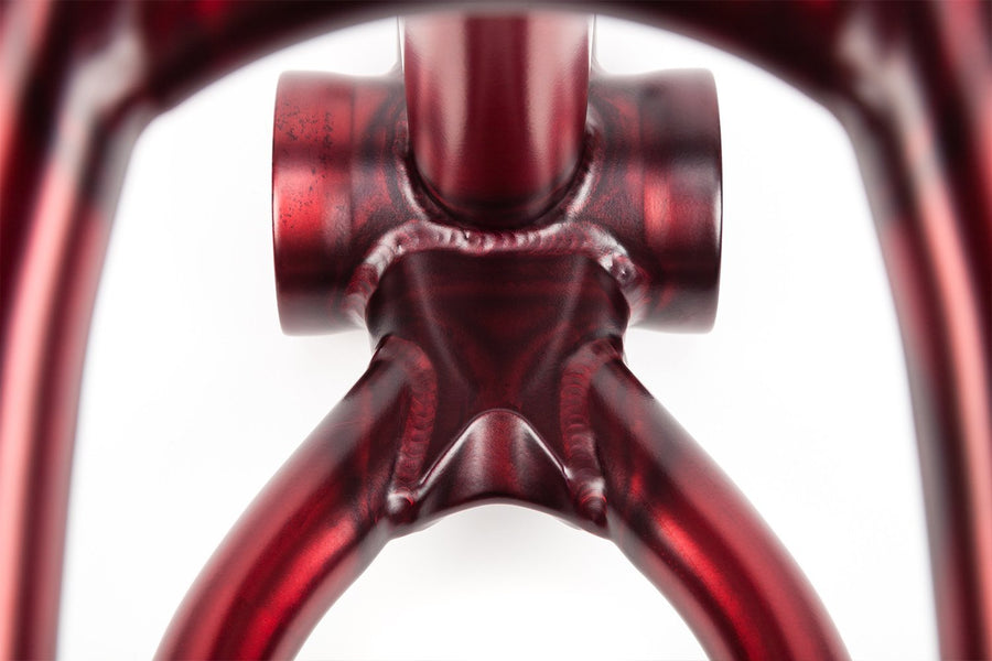 2019 FREEDOM FRAME