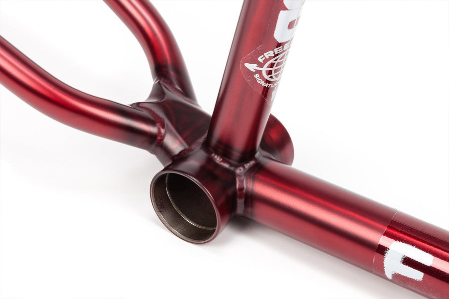 2019 FREEDOM FRAME