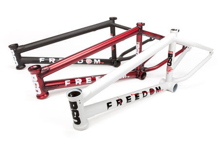 2019 FREEDOM FRAME