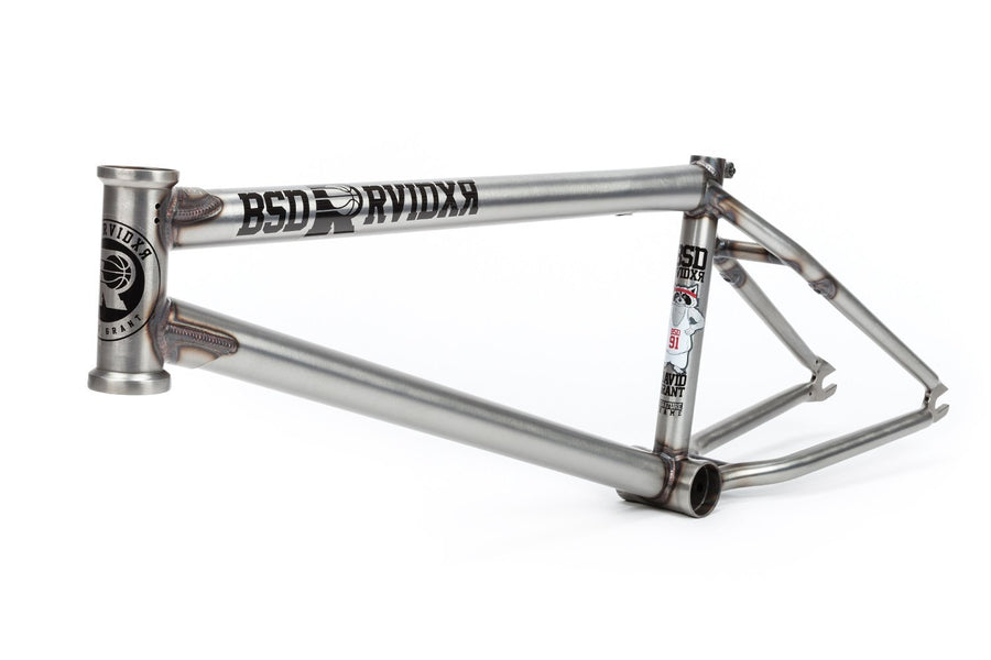 2019 RAIDER FRAME