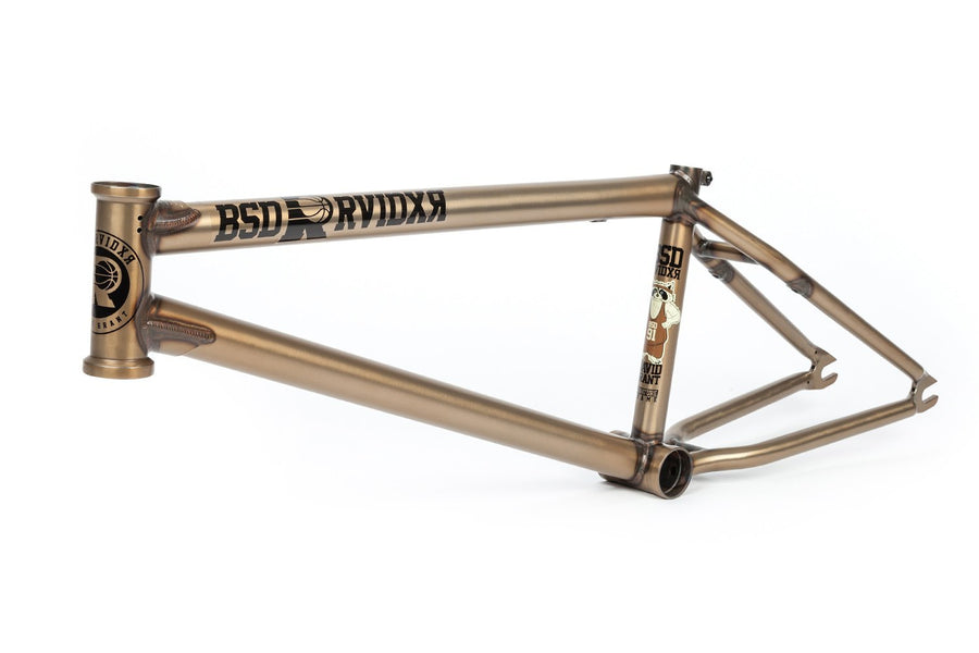 2019 RAIDER FRAME